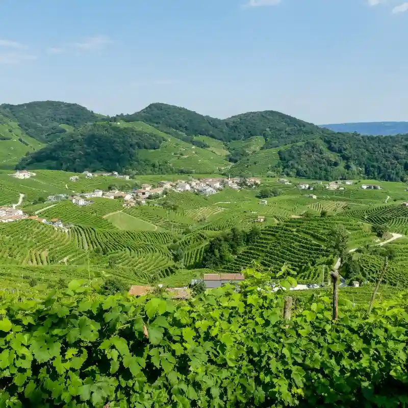 Valdobbiadene-no-Copyright-home